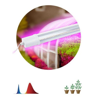 Светильник светодиодный FITO-24W-RB-N 24Вт для растений красн./син. спектр Эра Б0061425