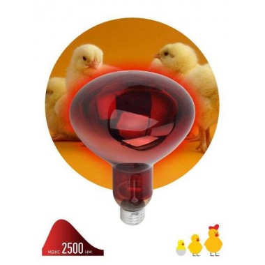 Излучатель тепловой (лампа инфракрасная) ИКЗК 220-250 R127 250Вт E27 для обогрева животных и освещения Эра Б0055442