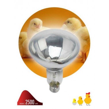 Излучатель тепловой (лампа инфракрасная) ИКЗ 220-250 R127 250Вт E27 для обогрева животных и освещения Эра Б0055440