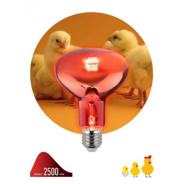 Излучатель тепловой (лампа инфракрасная) ИКЗК 230-100 R95 100Вт E27 для обогрева животных и освещения Эра Б0062000