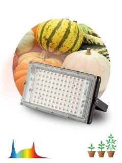 Прожектор светодиодный FITO-80W-Ra90-LED-Y 80Вт для растений полноспектральный IP65 Эра Б0057284