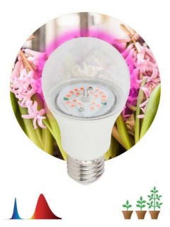 Лампа светодиодная FITO-10W-RB-E27-K 10Вт A60 грушевидная E27 220-240В для растений красн./син. спектр Эра Б0039069