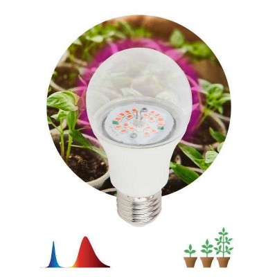Лампа светодиодная FITO-12W-RB-E27-K 12Вт A60 грушевидная E27 220-240В для растений красн./син. спектр Эра Б0039070