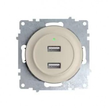 Розетка USB 2-м СП Florence 16А IP20 с подсветкой механизм беж. (1E10351301) OneKeyElectro 2260090