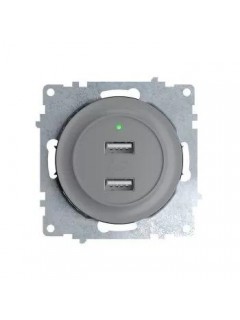 Розетка USB 2-м СП Florence 16А IP20 с подсветкой механизм сер. (1E10351302) OneKeyElectro 2260091